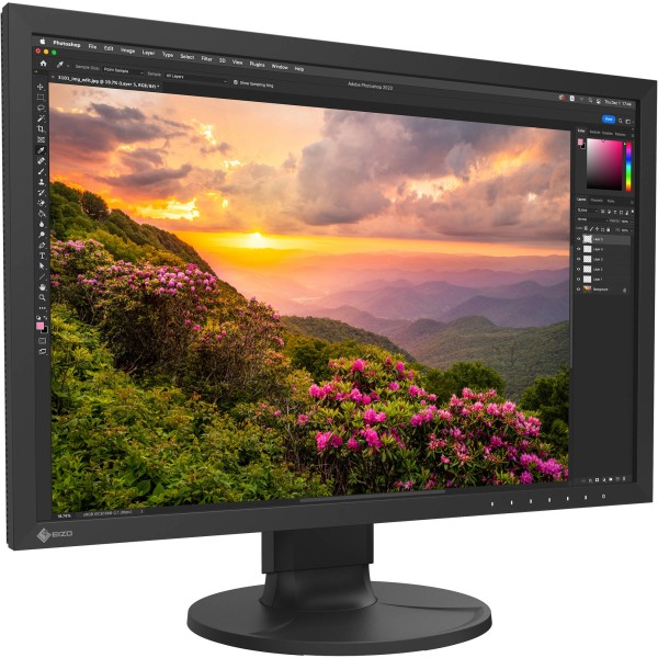 EIZO CS2400S