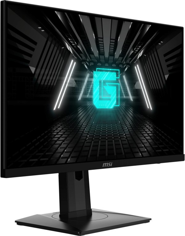 MSI G244PF E2 23.8-inch Gaming