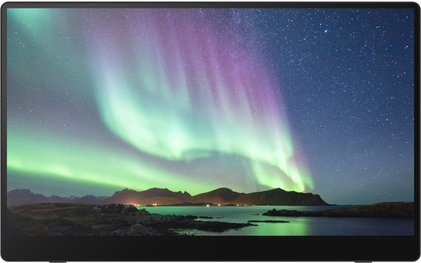 Ricoh Multi-Touch 15.6-inch Portable